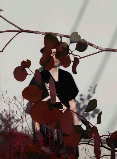 How to photograph like Viviane Sassen