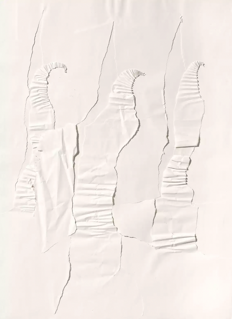 Oskar Holweck | Portfolio