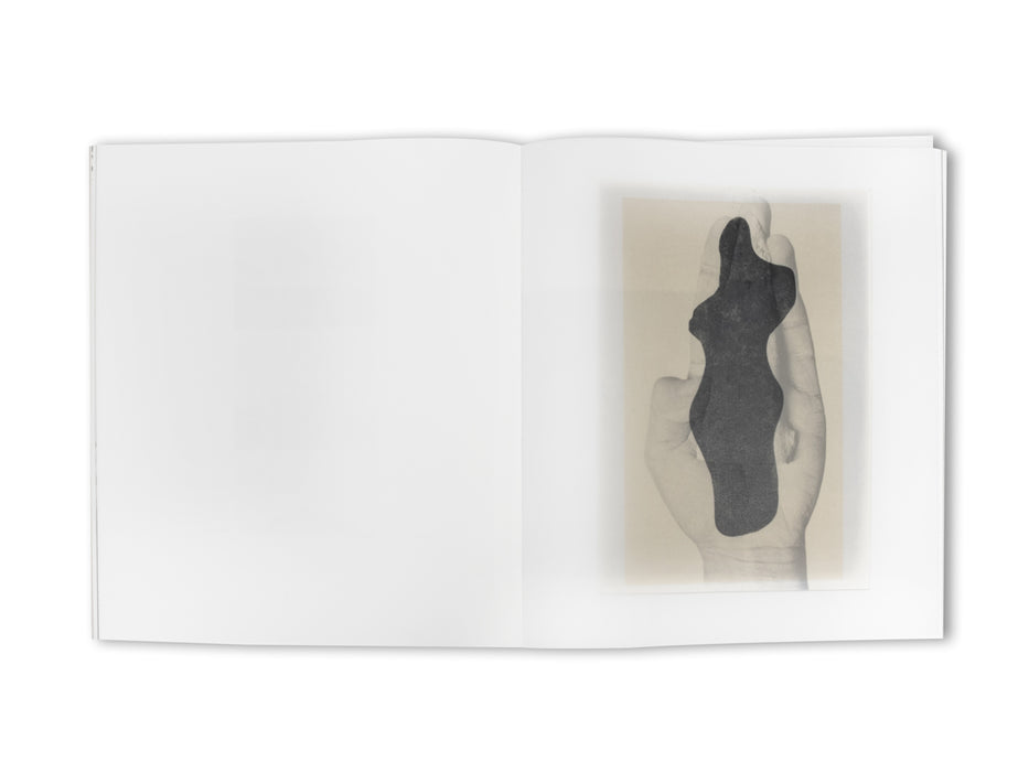 Understanding the Landscape | Limited Edition - spread 6