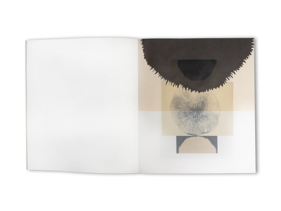 Understanding the Landscape | Limited Edition - spread 12