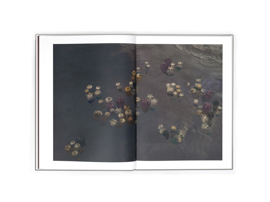 Thirza Schaap boek